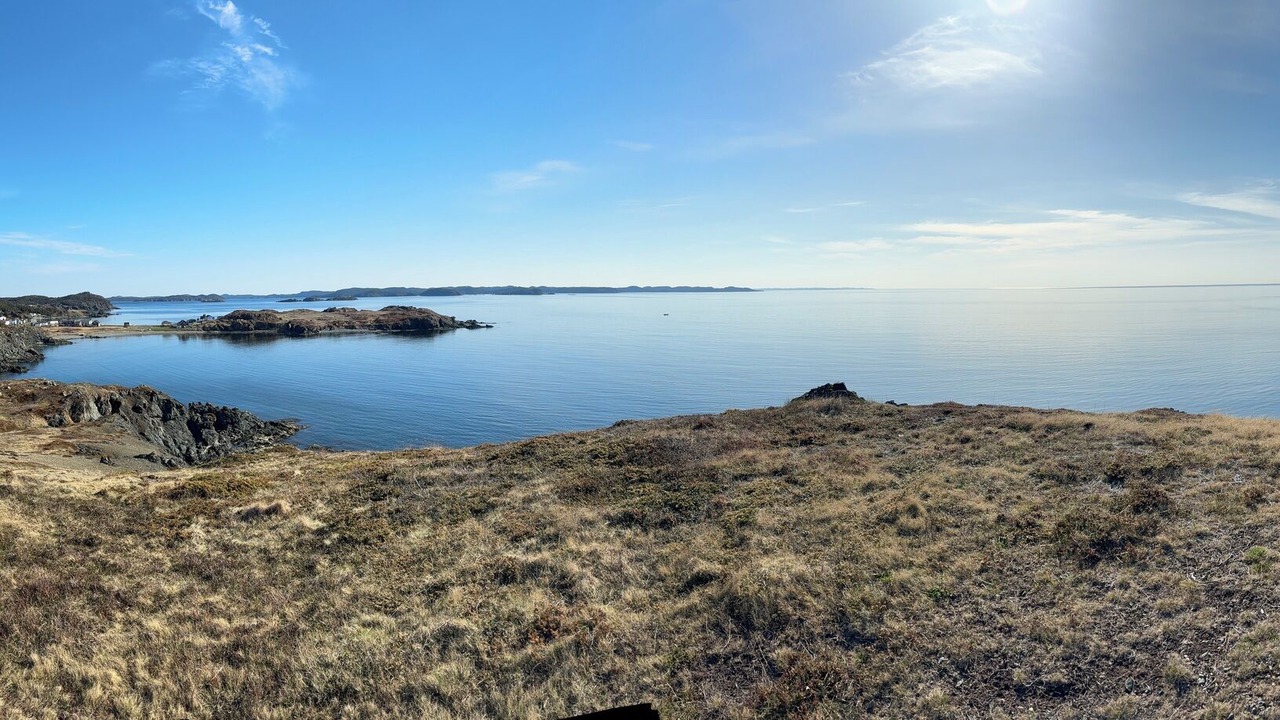 Photo of Others in Twillingate
