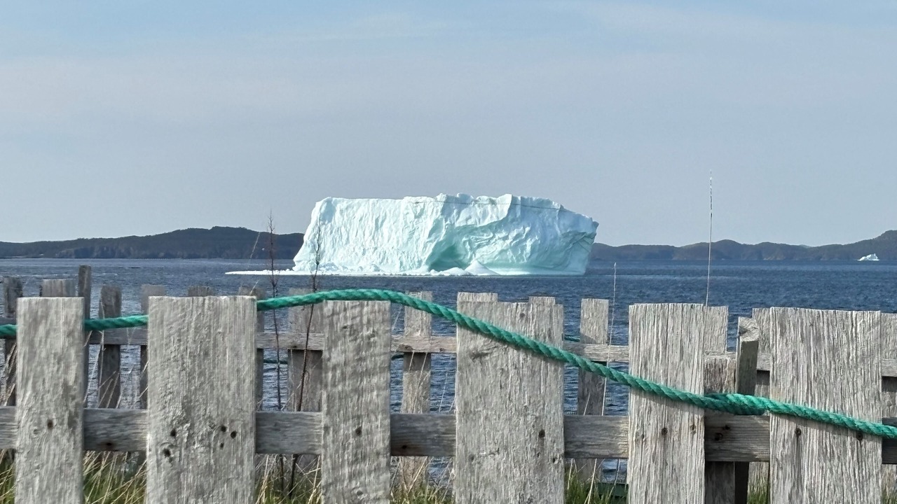 Photo of Others in Twillingate