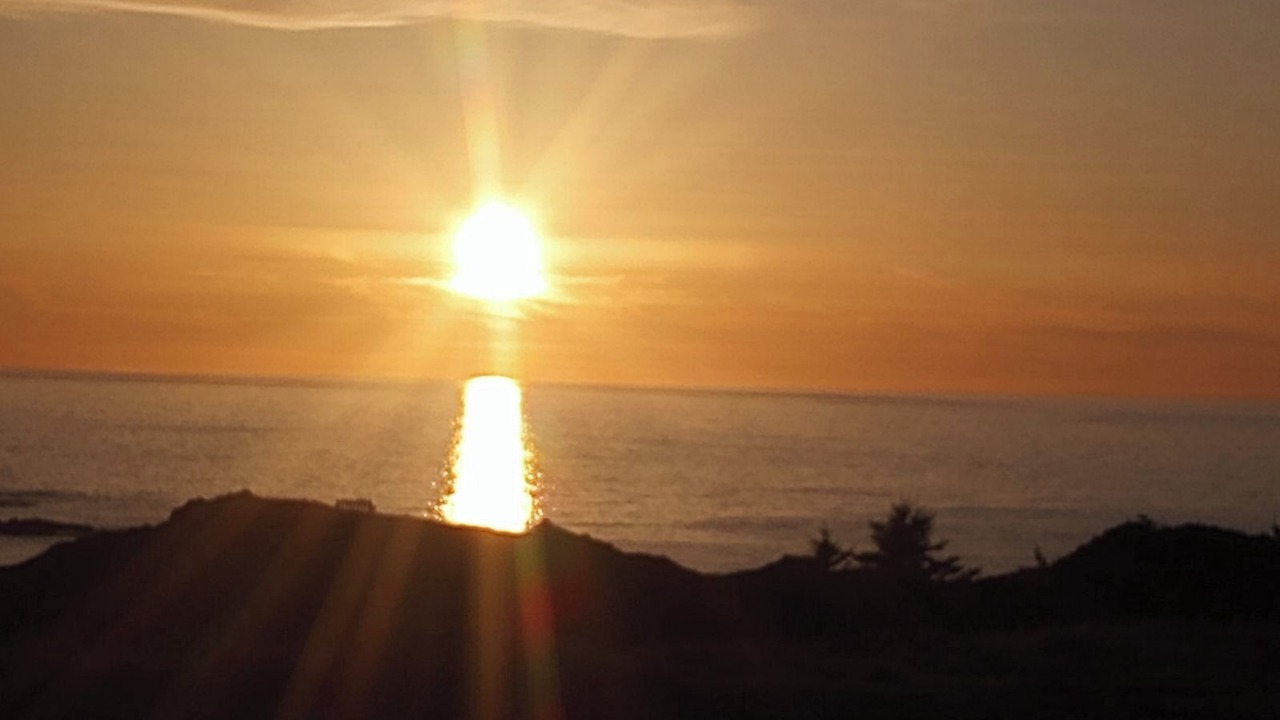 Photo of Others in Twillingate