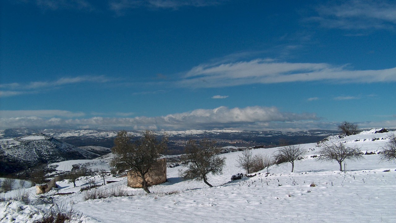 Photo of Others in Braganca