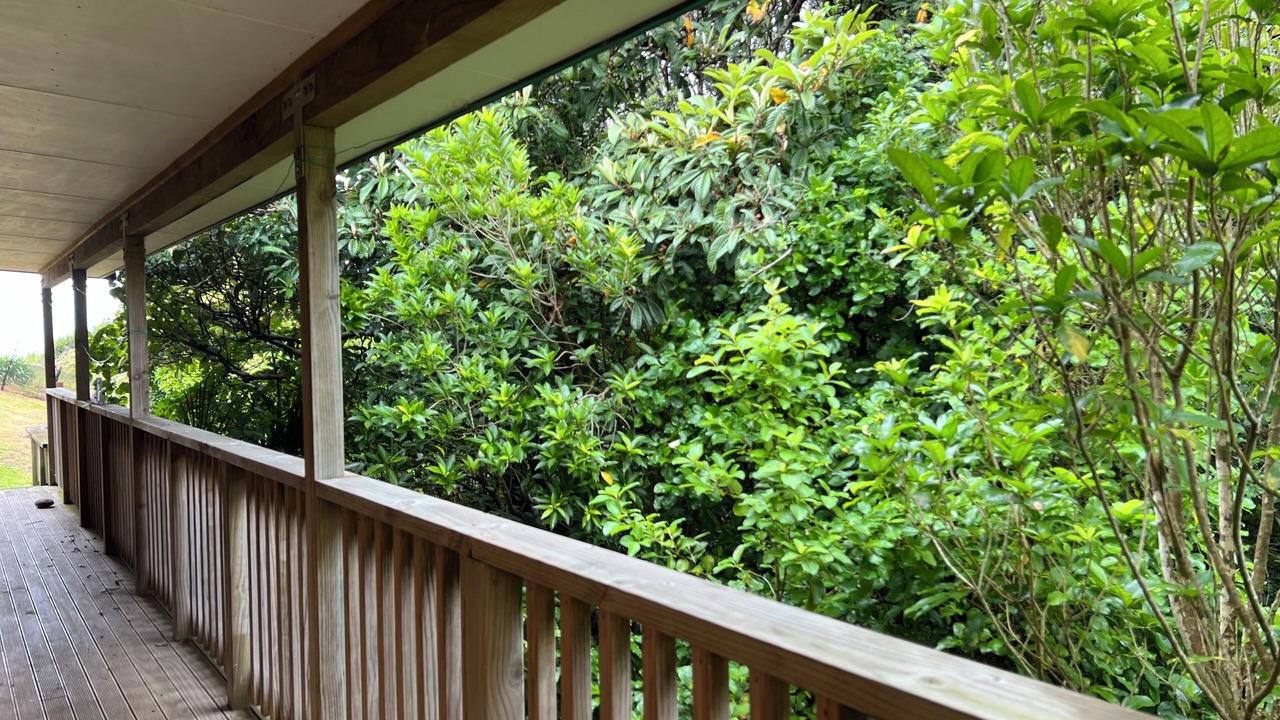 Photo of Outdoor in Tuateawa