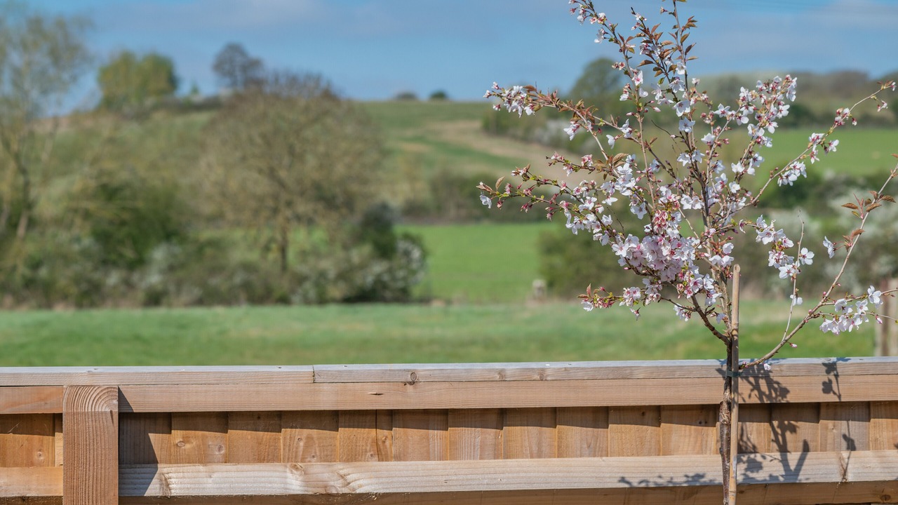 Photo of Outdoor in Shipston on Stour
