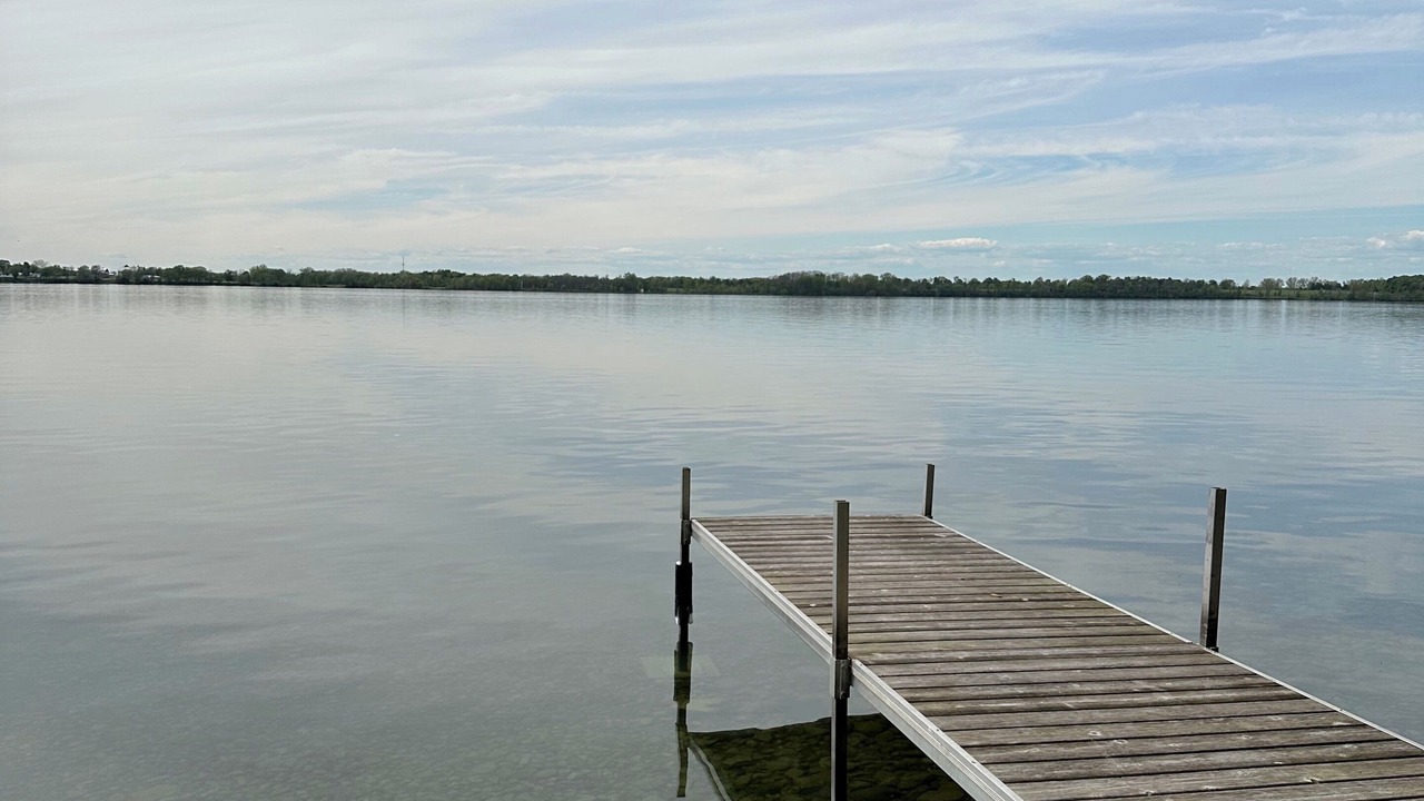 Photo of Others in Picton
