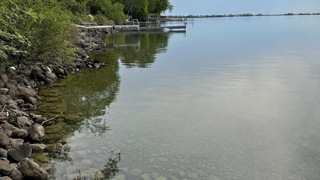 Photo of Others in Picton
