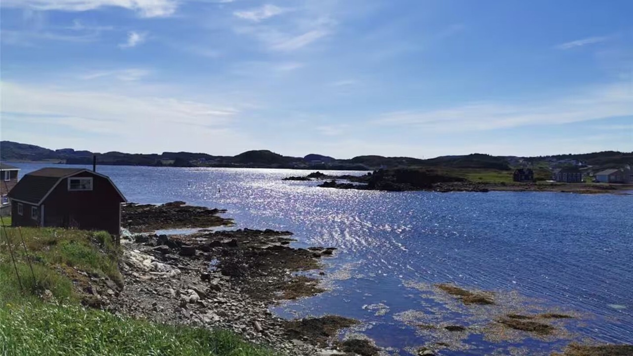 Photo of Others in Twillingate