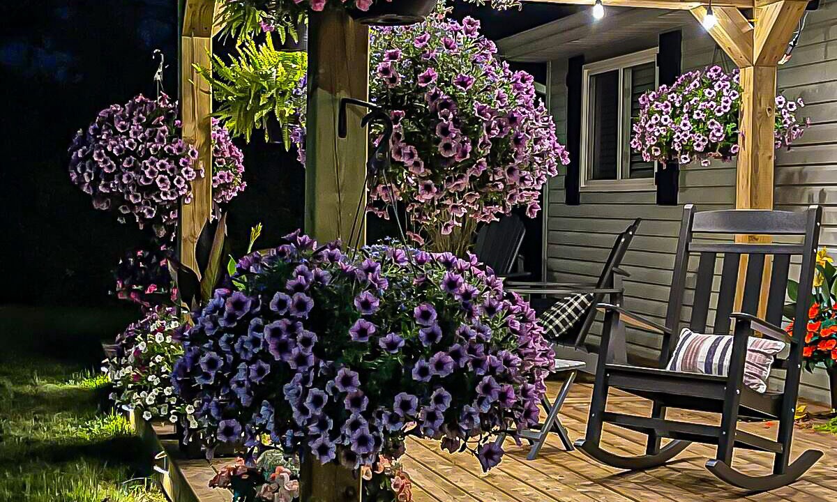 Photo of Patio Balcony in Dartmouth