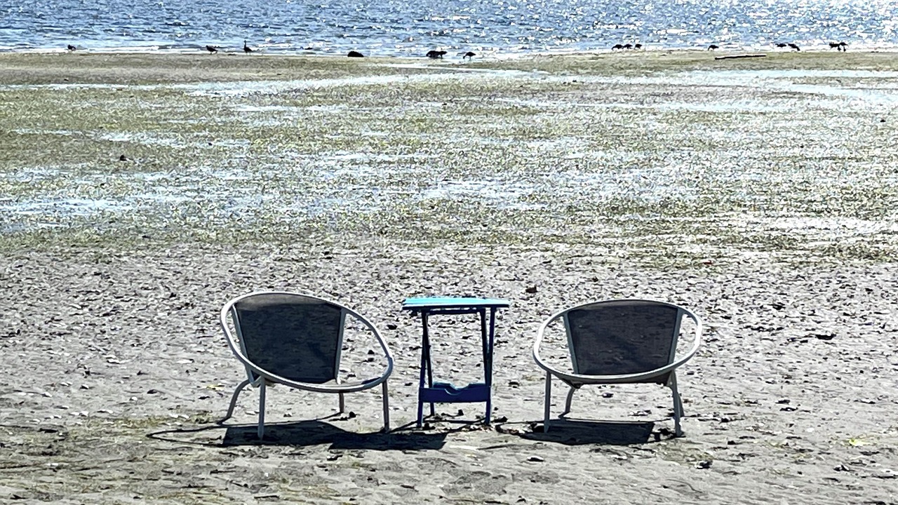 Photo of Others in Chemainus