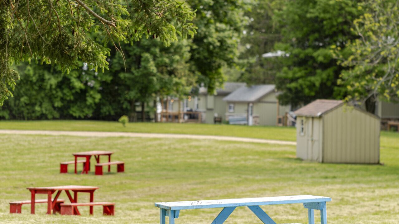 Photo of Others in Bloomfield