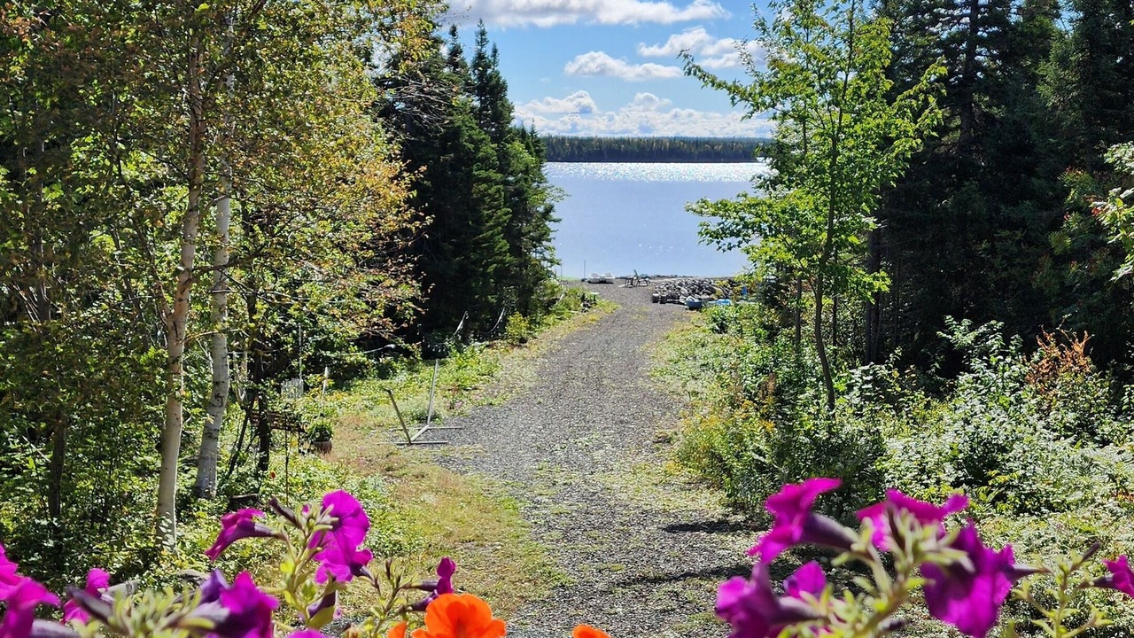 Photo of Outdoor in Lewisporte
