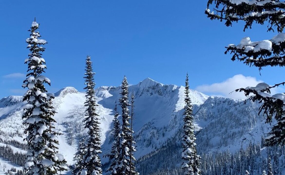 Photo of Others in Central Kootenay