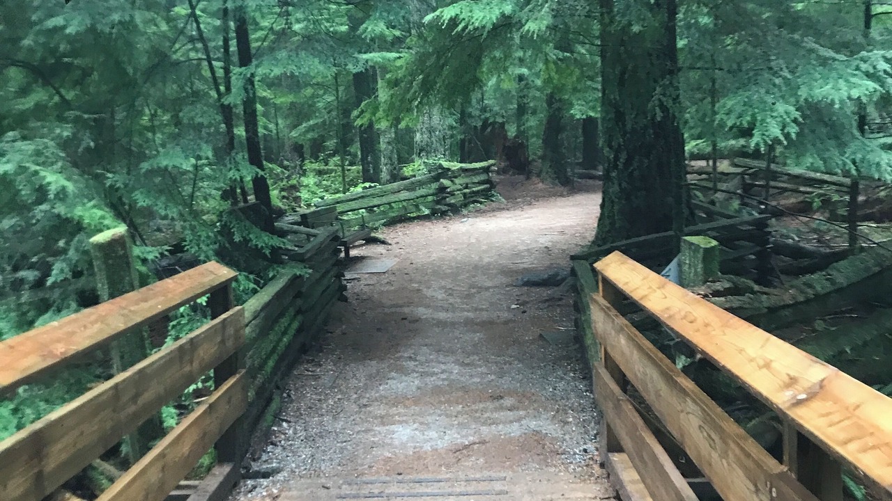 Photo of Outdoor in Dunbar