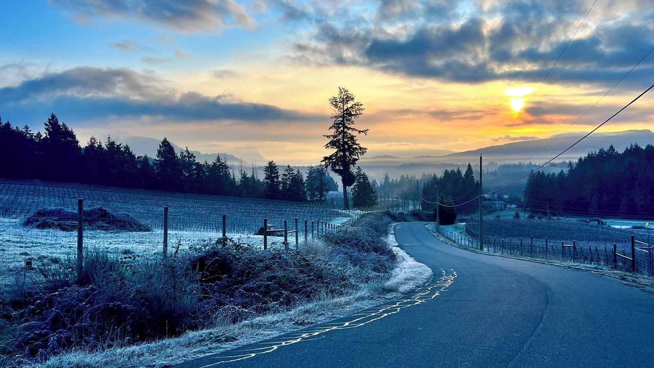 Photo of Others in North Cowichan