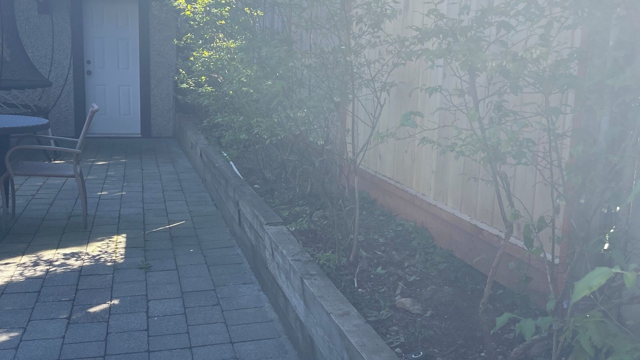 Photo of Outdoor in Dunbar