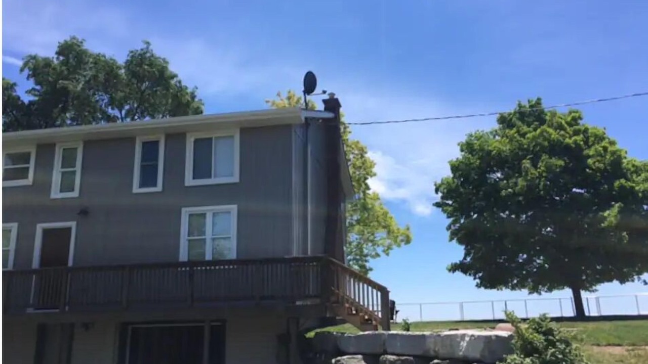 Photo of Outdoor in Hamilton