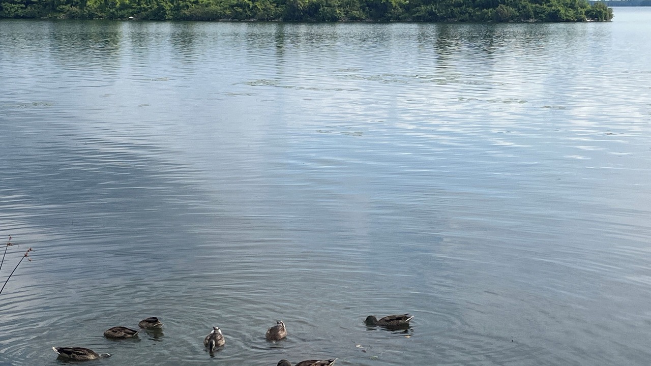 Photo of Others in Orillia