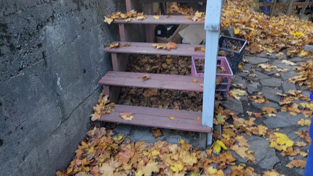 Photo of Outdoor in Nelson