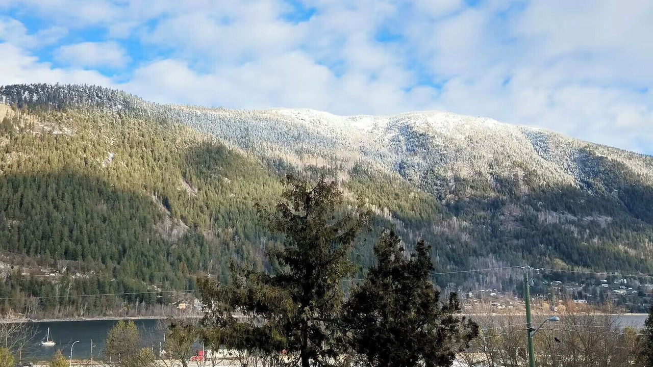 Photo of Others in Nelson
