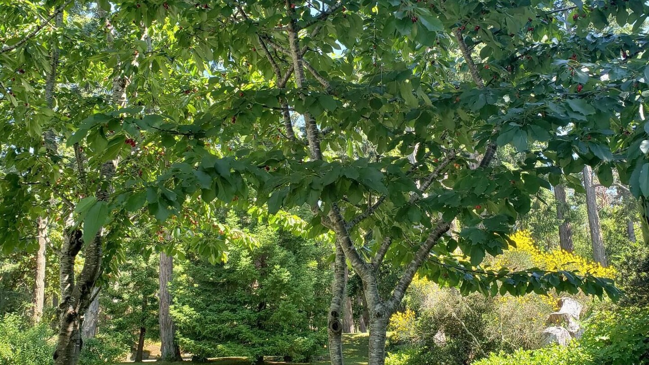 Photo of Outdoor in Gulf Islands