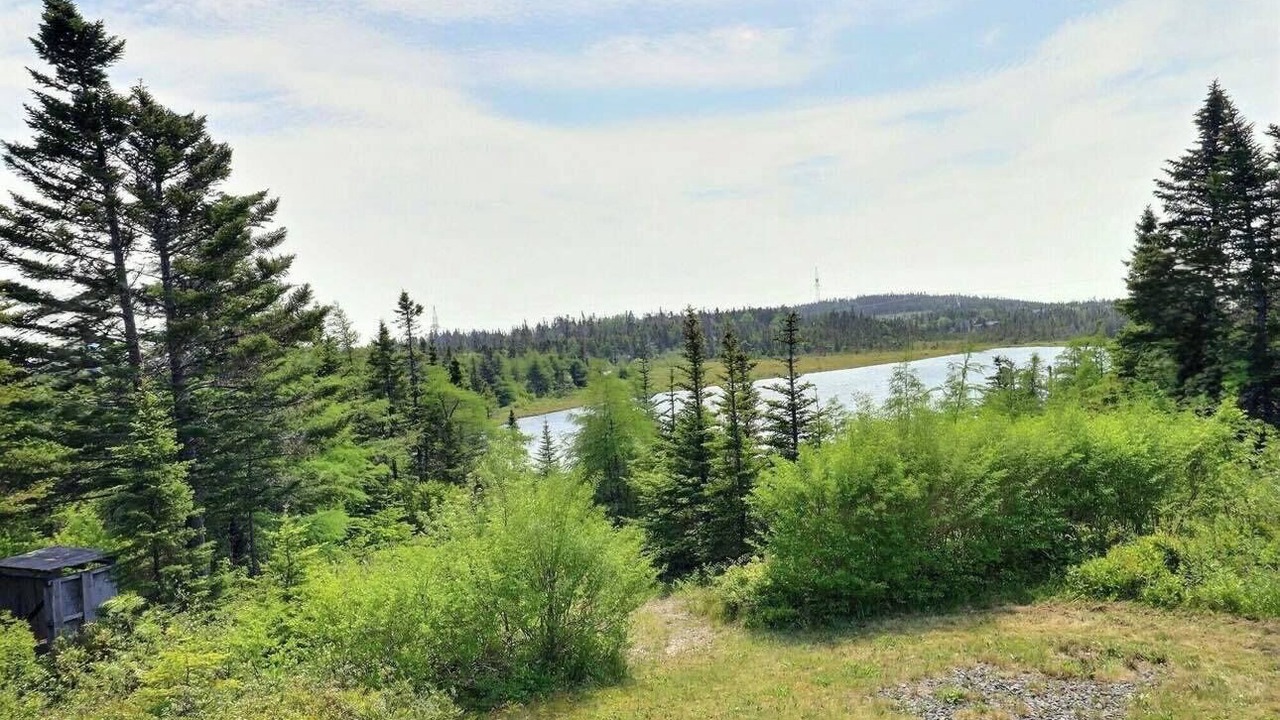 Photo of Others in Terra Nova