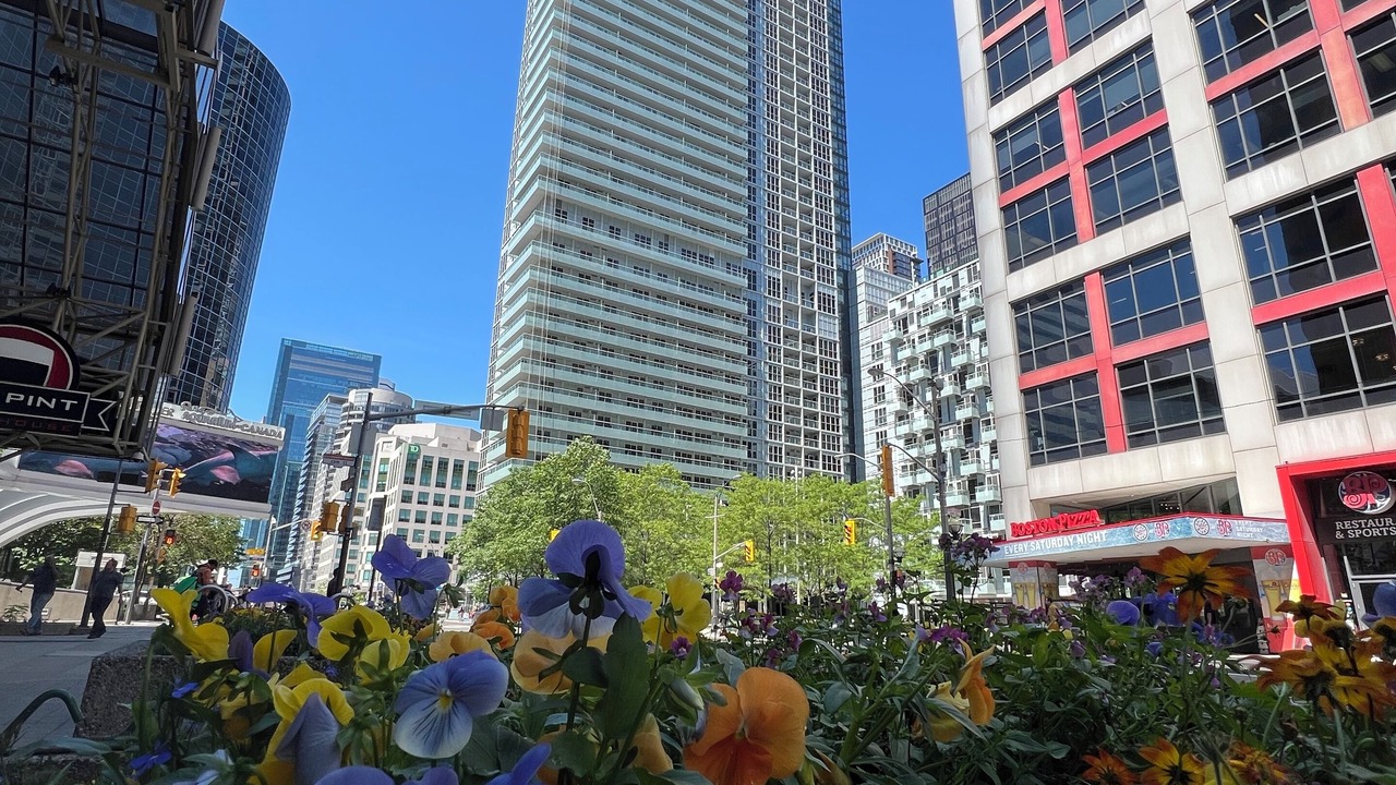 Photo of Others in Downtown Toronto