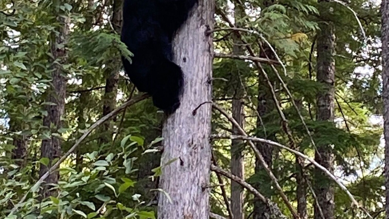 Photo of Others in Mount Currie