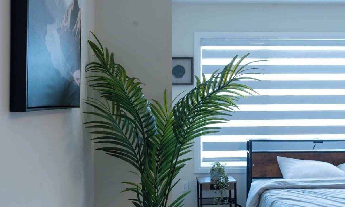 Photo of Bedroom in Severn