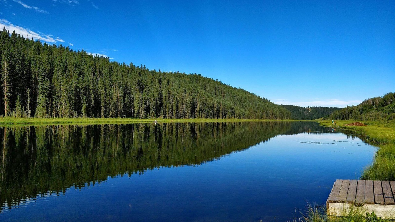 Photo of Others in Water Valley