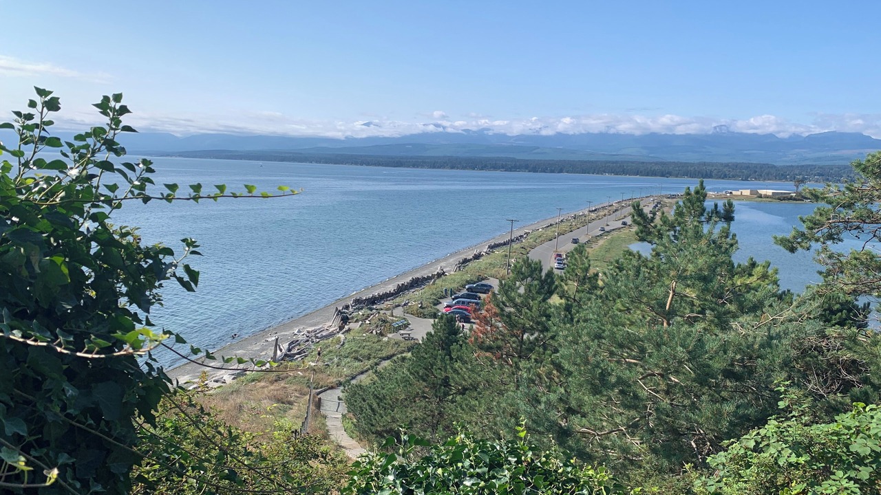 Photo of Others in Comox