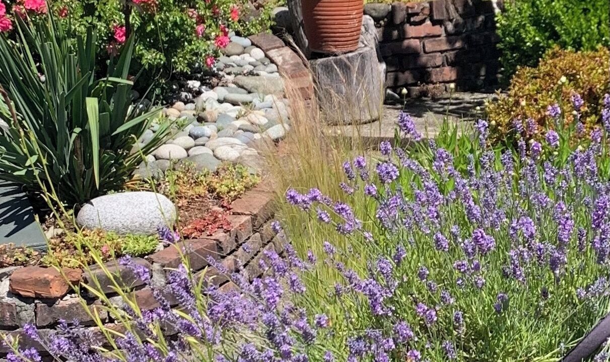 Photo of Outdoor in Comox