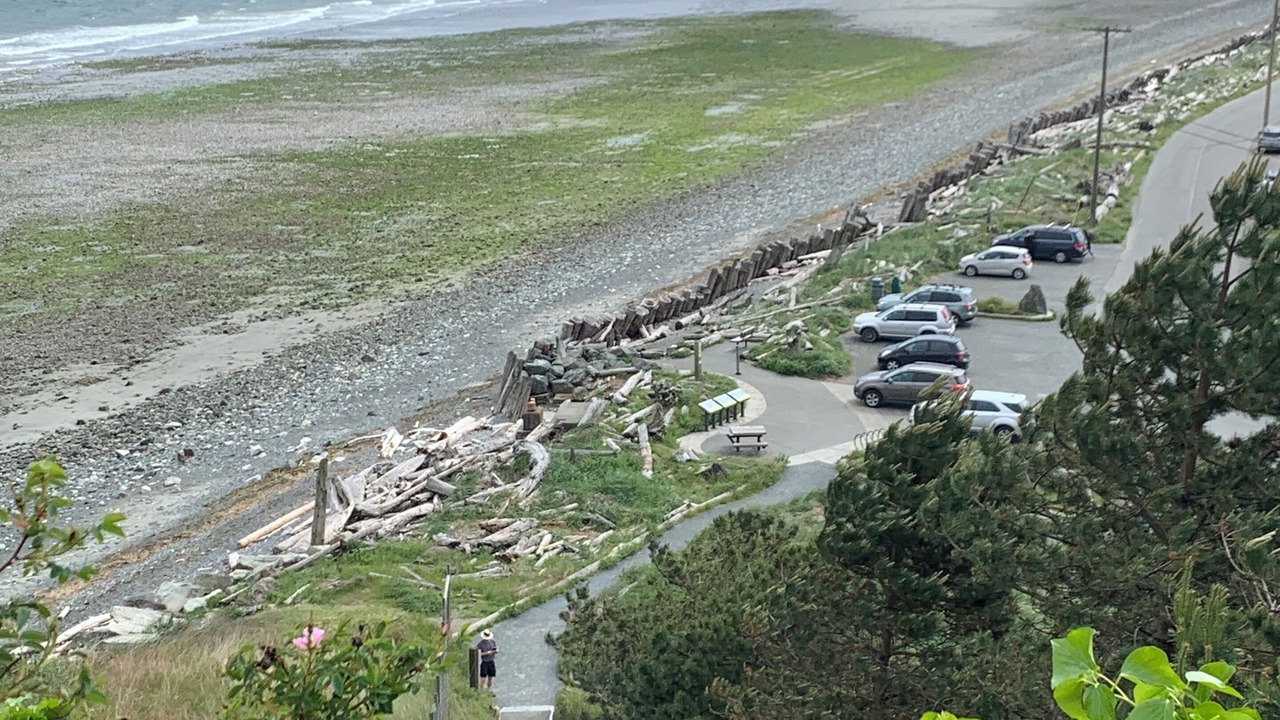 Photo of Others in Comox