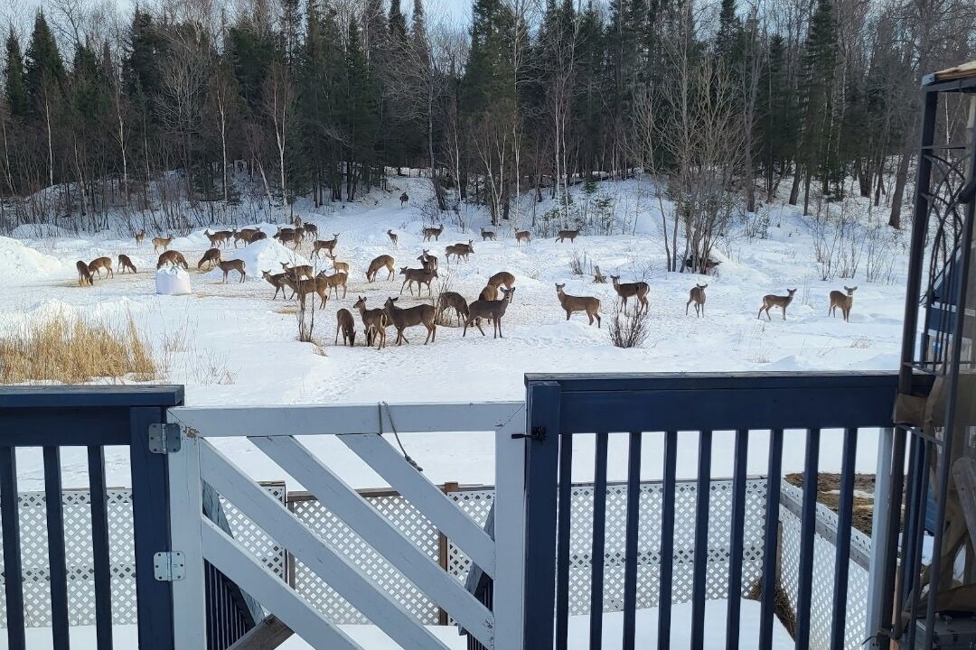 Photo of Outdoor in Chisholm