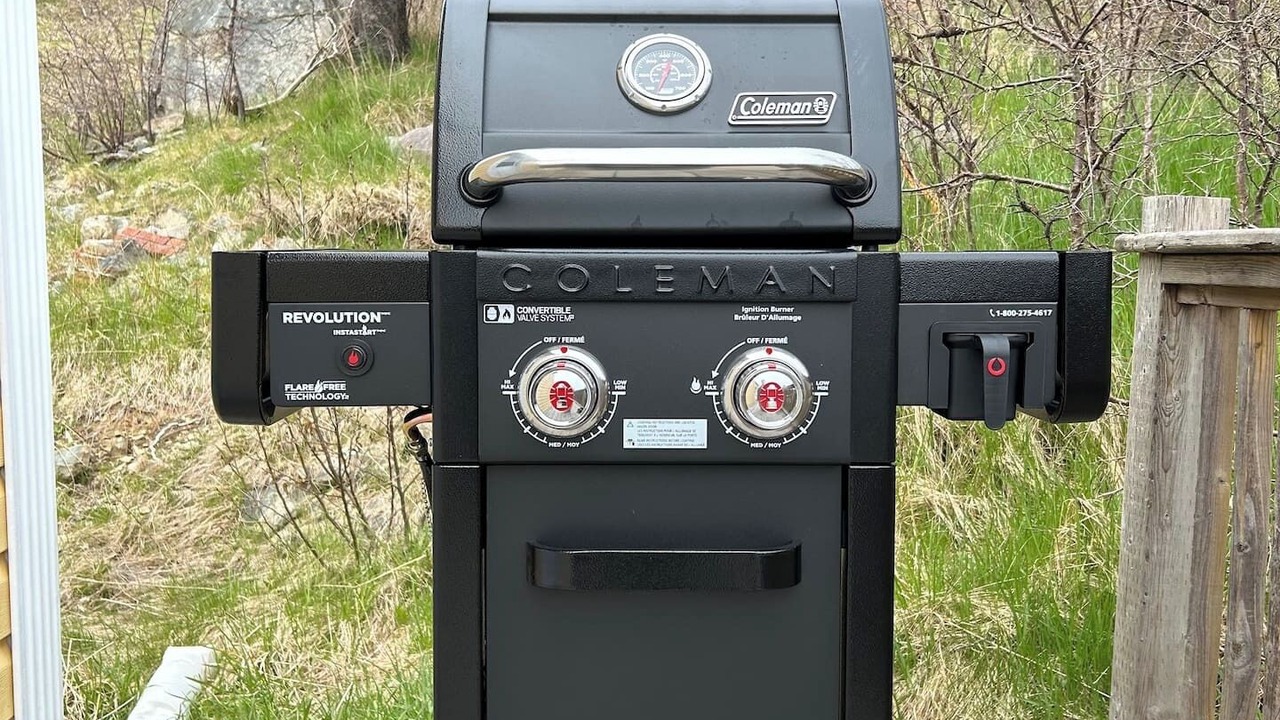 Photo of Outdoor in Bay Bulls