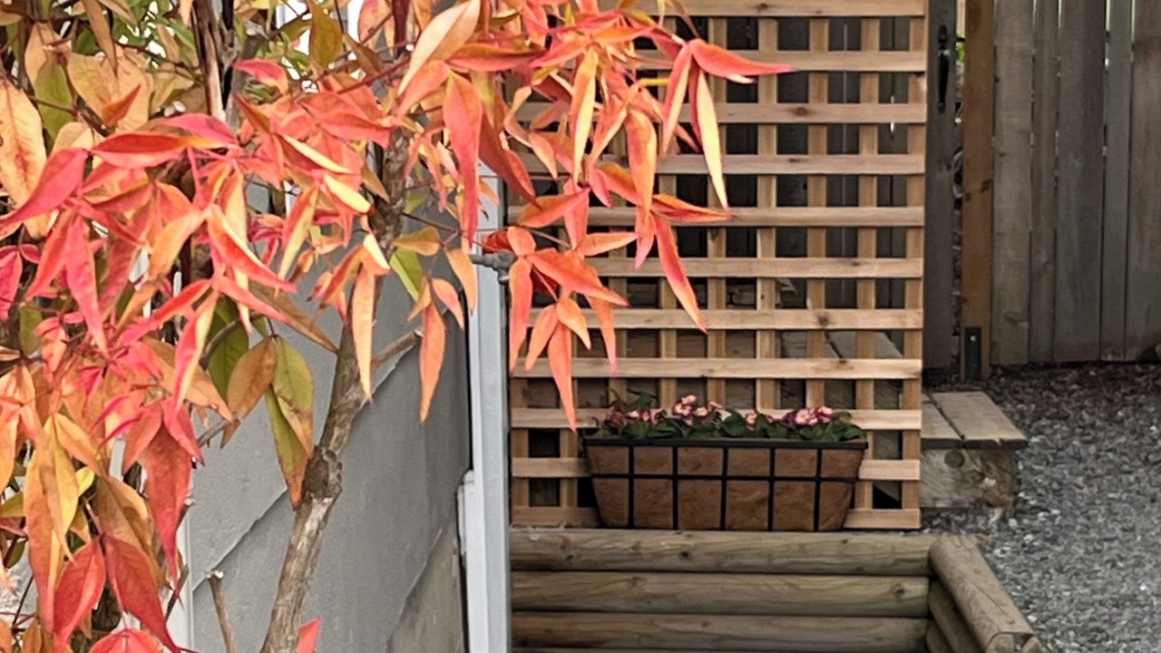 Photo of Outdoor in Saanich East