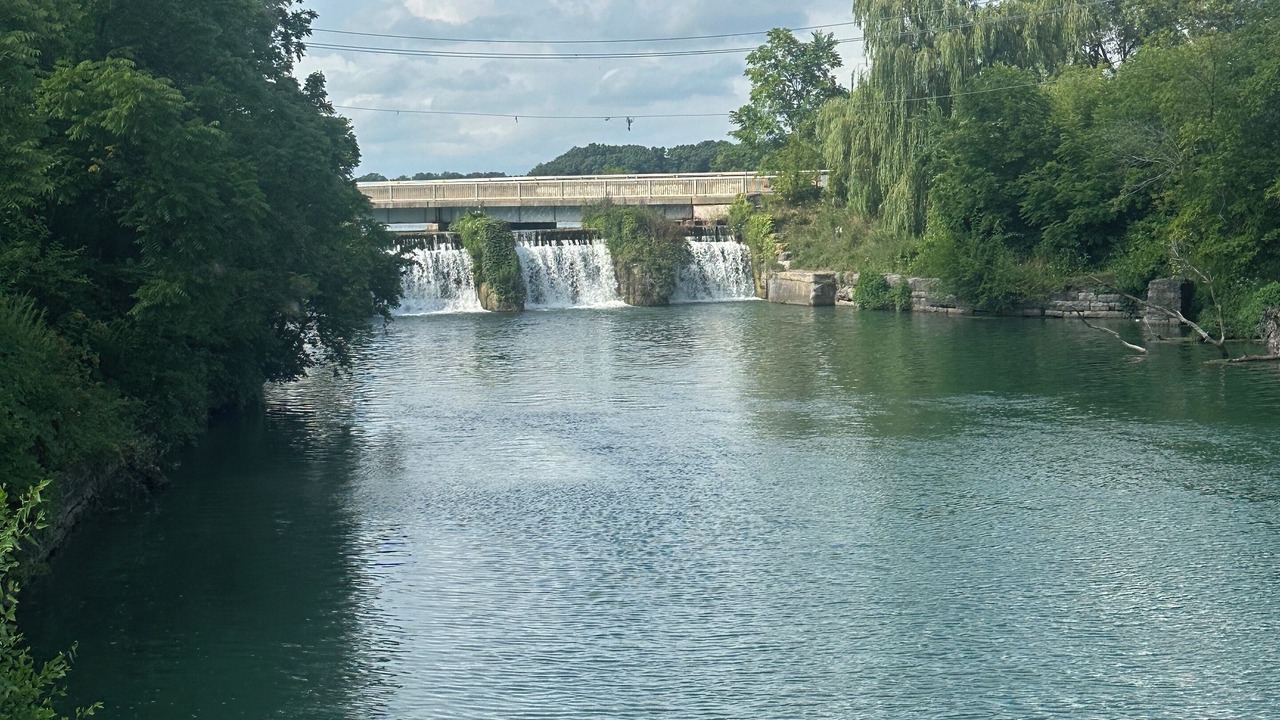 Photo of Others in Port Dalhousie