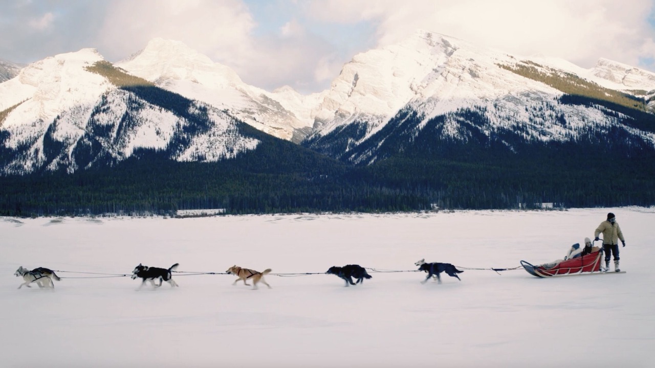 Photo of Others in Kananaskis
