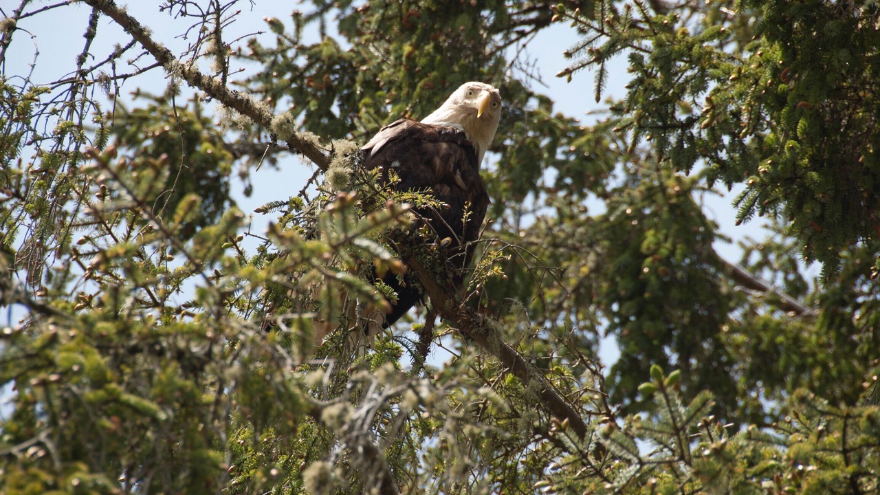 Photo of Others in Harrison Mills
