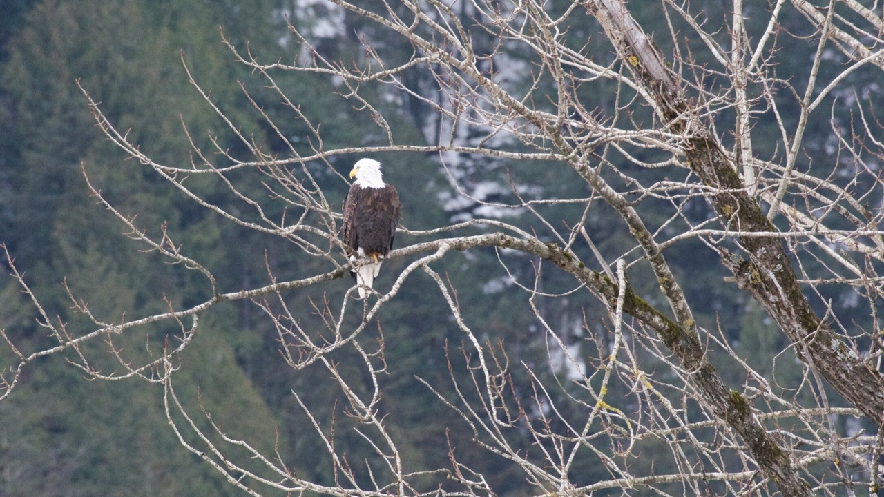 Photo of Others in Harrison Mills