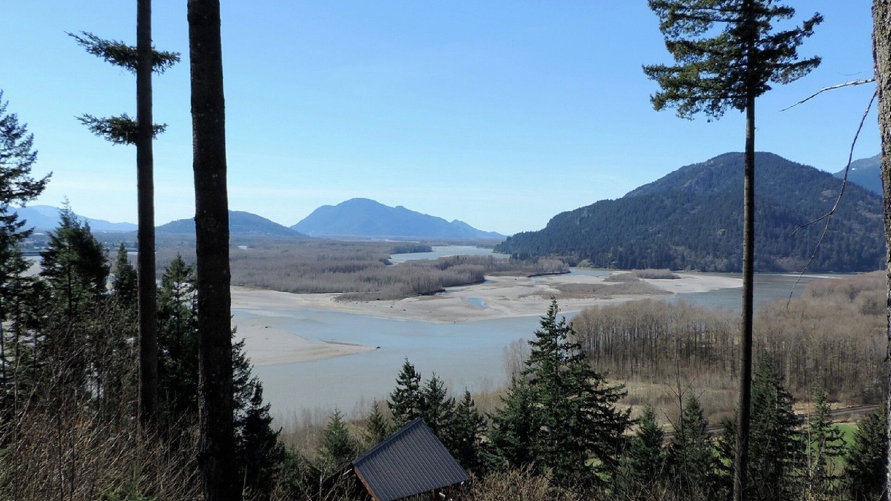 Photo of Others in Harrison Mills