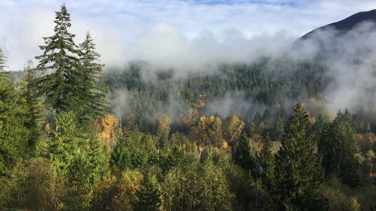 Photo of Others in Harrison Mills
