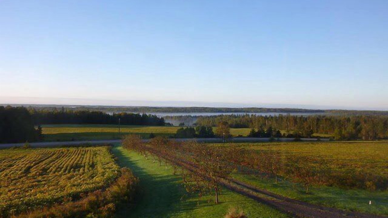 Photo of Others in Belle River