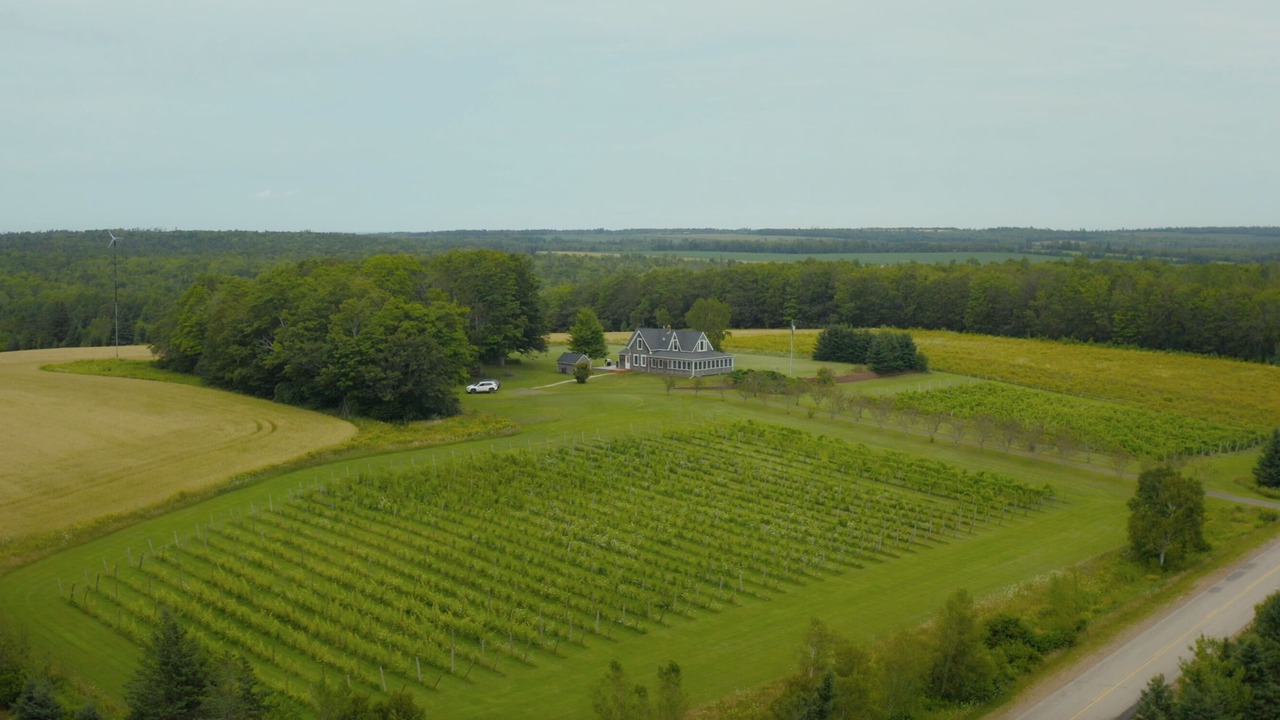 Photo of Outdoor in Belle River