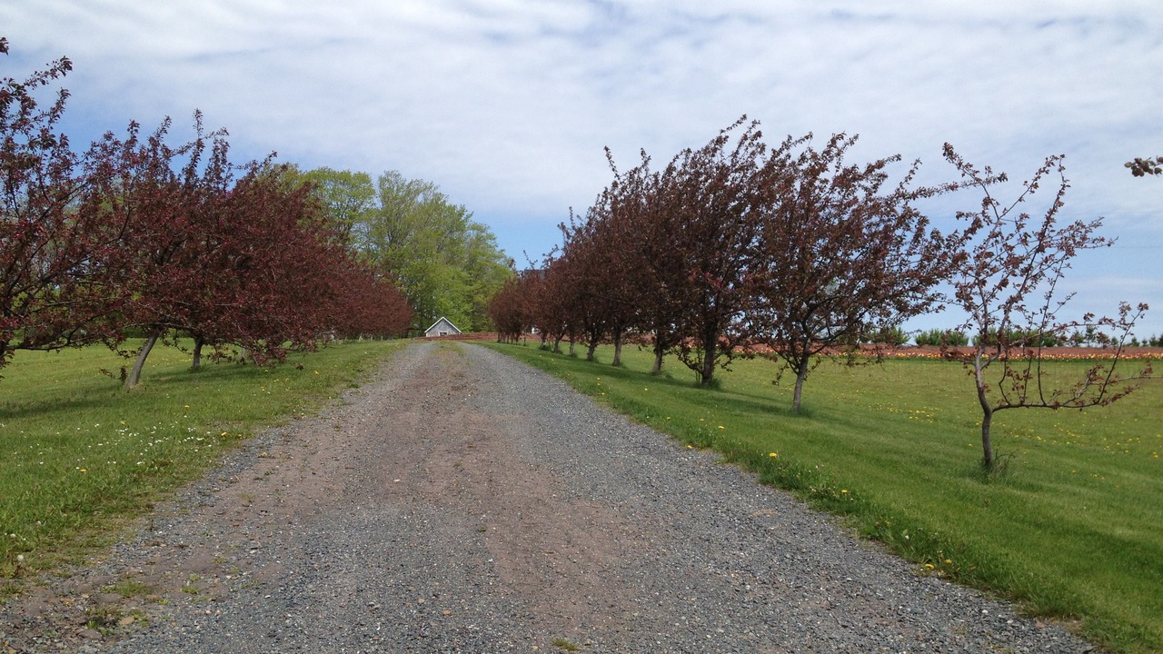 Photo of Others in Belle River