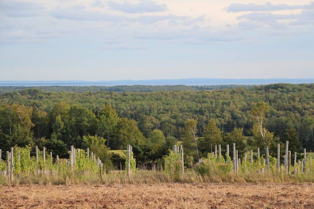 Photo of Others in Belle River