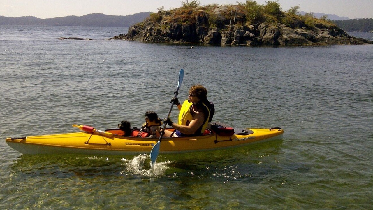 Photo of Others in Davis Bay