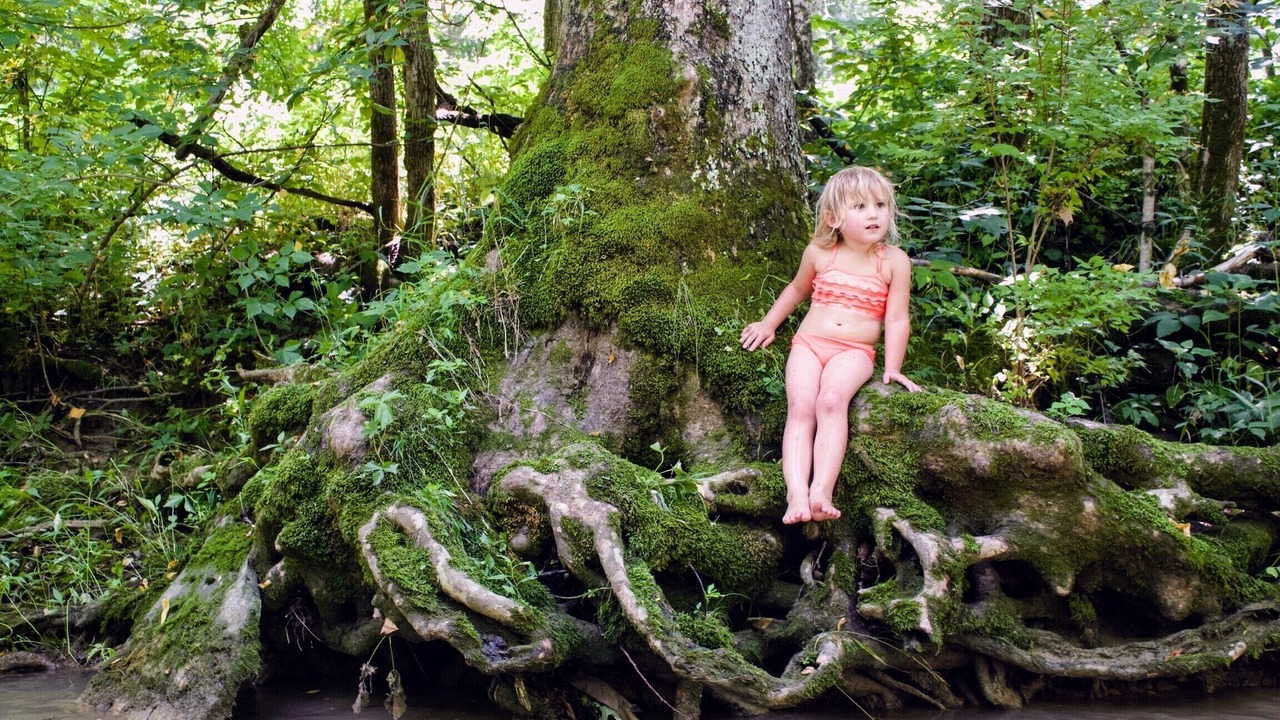 Photo of Others in Stonewall