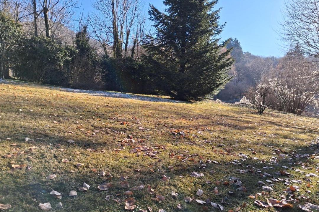 Photo of Outdoor in Maggio