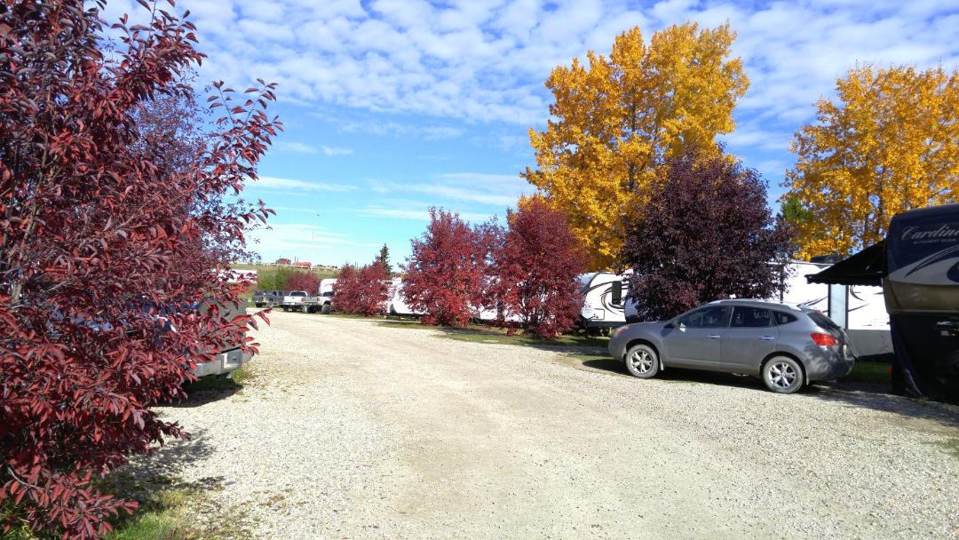 Photo of Buildings in Edson