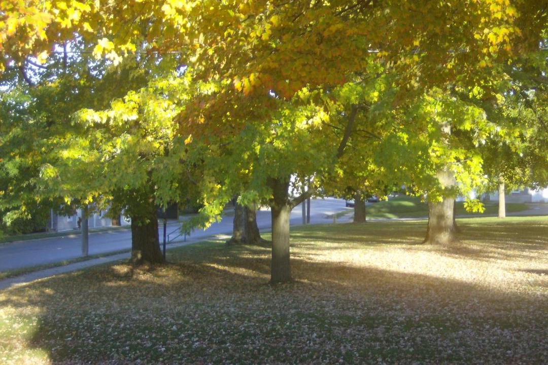 Photo of Outdoor in Prince Edward