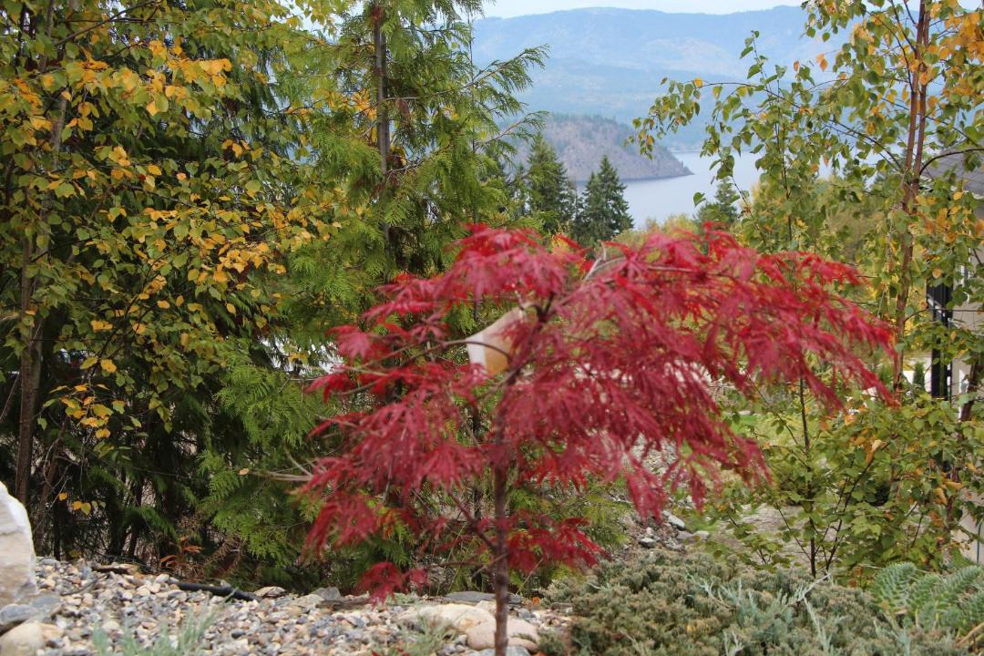 Photo of Outdoor in Blind Bay