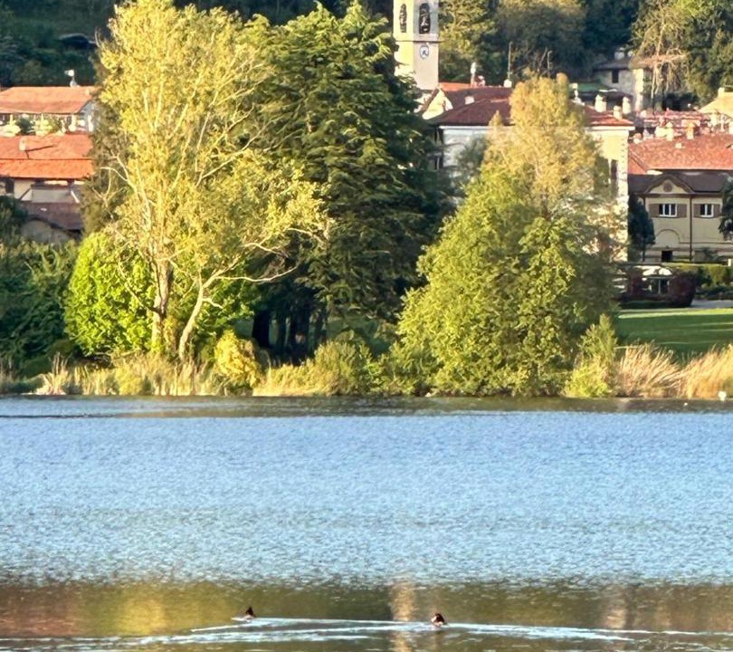 Photo of Others in Montorfano